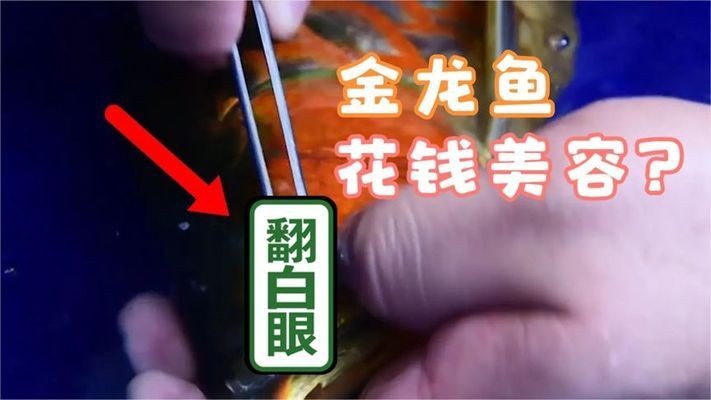 祥云縣森森水族館（祥云縣森森水族館電話）