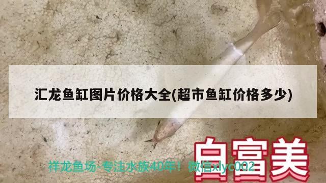 營口市站前區老本琦水族銘品店 營口市站前區老本琦水族銘品店 全國水族館企業名錄 第3張