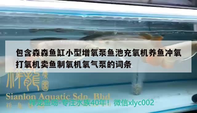 營口市站前區老本琦水族銘品店 營口市站前區老本琦水族銘品店 全國水族館企業名錄 第1張