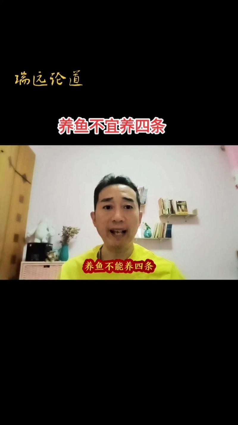 龍魚不能養4條的原因