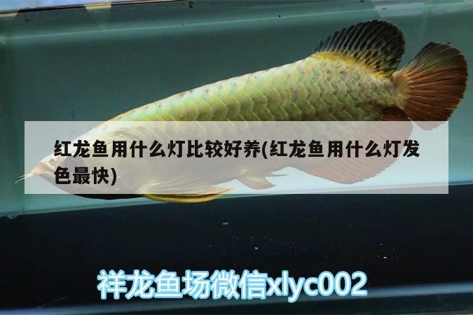 信陽魚缸訂做（信陽魚缸訂做店鋪） 信陽魚缸訂做（信陽魚缸訂做店鋪） 全國水族館企業名錄 第2張