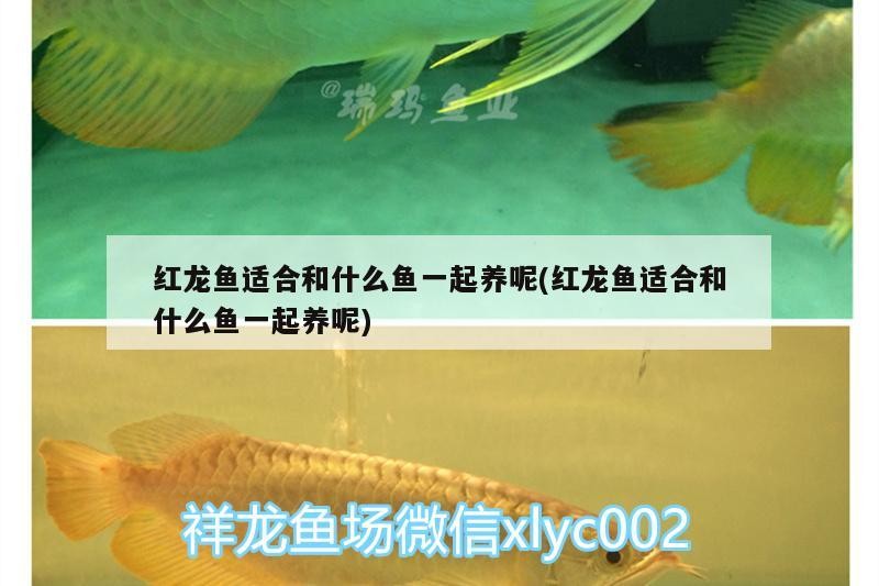 信陽魚缸訂做（信陽魚缸訂做店鋪） 信陽魚缸訂做（信陽魚缸訂做店鋪） 全國水族館企業名錄 第1張
