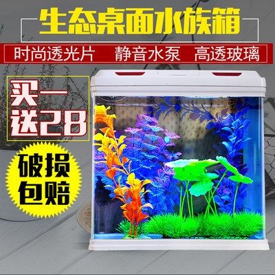 為什么魚缸的魚都往一邊聚集：為什么魚缸里的魚往一邊聚集？ 為什么魚缸的魚都往一邊聚集：為什么魚缸里的魚往一邊聚集？ 魚缸百科 第4張