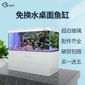 為什么魚缸的魚都往一邊聚集：為什么魚缸里的魚往一邊聚集？ 為什么魚缸的魚都往一邊聚集：為什么魚缸里的魚往一邊聚集？ 魚缸百科 第3張