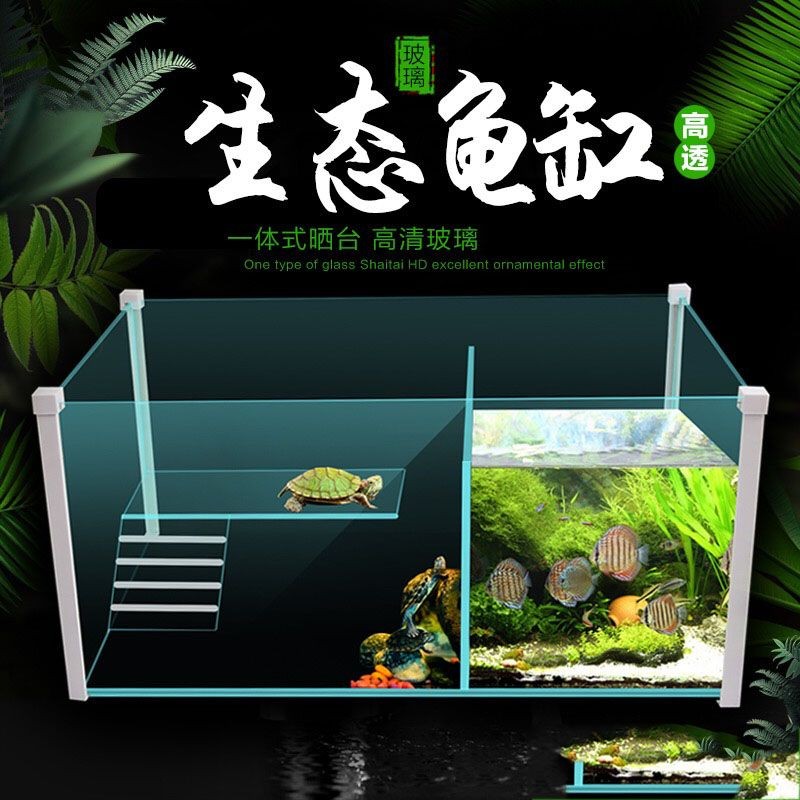 為什么魚缸的魚都往一邊聚集：為什么魚缸里的魚往一邊聚集？ 為什么魚缸的魚都往一邊聚集：為什么魚缸里的魚往一邊聚集？ 魚缸百科 第5張