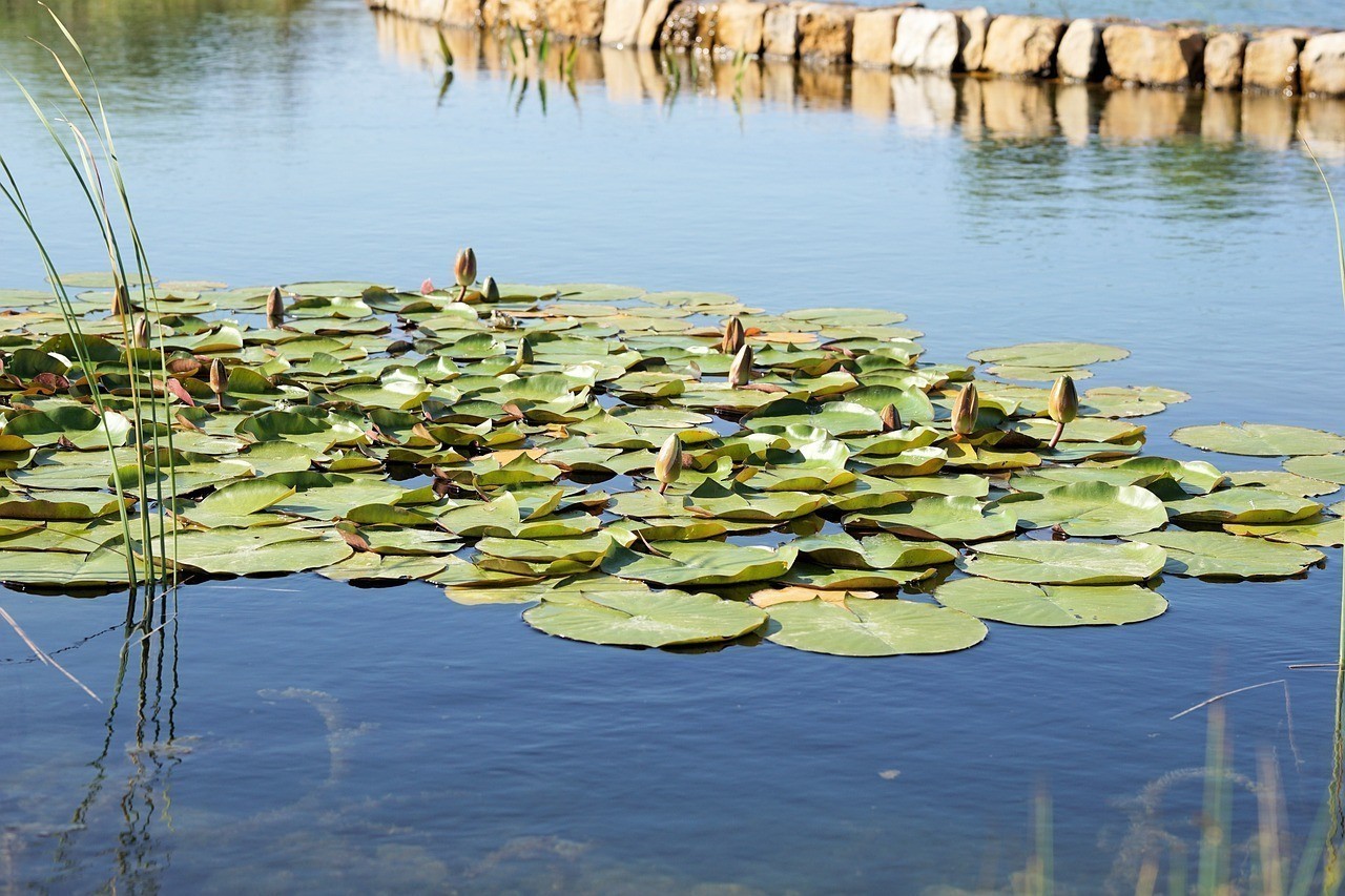 上海市崇明縣瀛興水產(chǎn)養(yǎng)殖廠（上海市崇明縣瀛興水產(chǎn)養(yǎng)殖廠地址）
