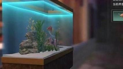 魚缸的玩家：魚缸diy教程入門，風水魚缸布局指南 魚缸的玩家：魚缸diy教程入門，風水魚缸布局指南 魚缸百科 第3張