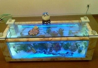 海景魚缸怎么換水視頻養魚高手的換水秘籍經驗豐富的養魚愛好者：關于海景魚缸怎么換水的問題