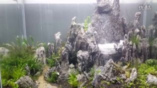 熱帶魚飼養指南熱帶魚飼養指南熱帶魚飼養指南熱帶魚飼養指南：海缸造景的藝術與科學