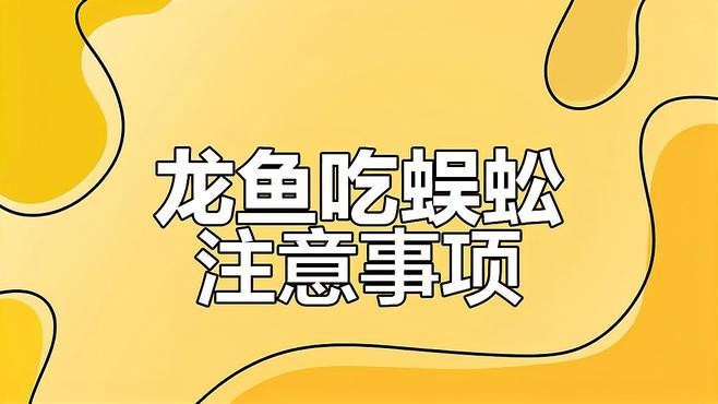 龍魚喂蜈蚣的正確處理方法