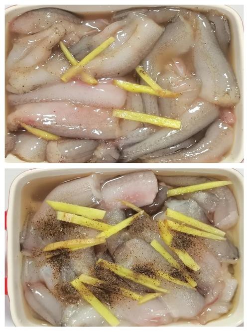 東海小龍魚圖片高清大全