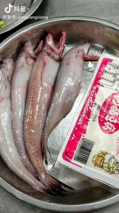 東海小龍魚圖片高清大全
