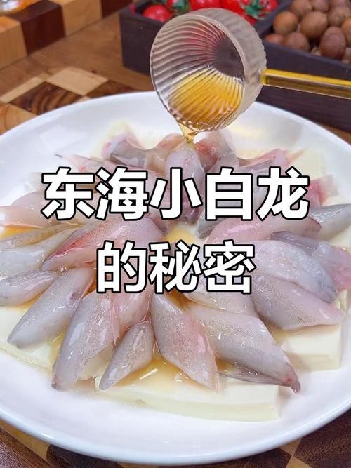 東海小龍魚圖片高清大全