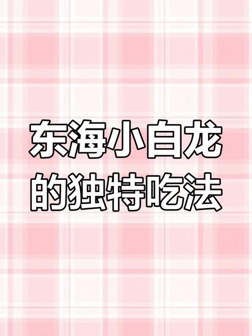 東海小龍魚圖片高清大全