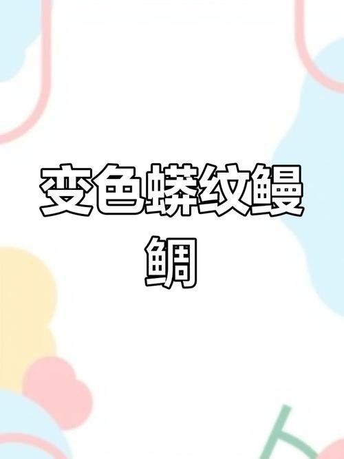 東海小龍魚圖片高清大全