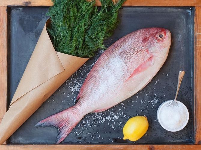 東海小龍魚圖片高清大全
