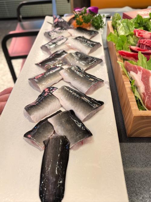 東海小龍魚圖片高清大全