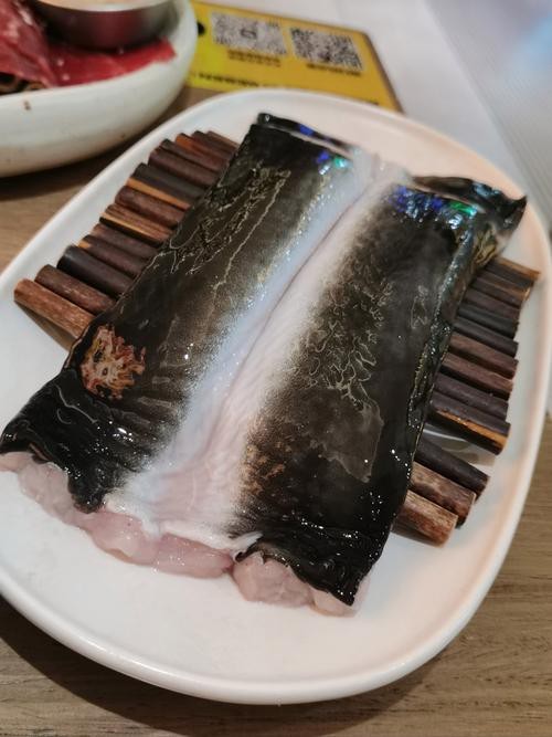 東海小龍魚圖片高清大全