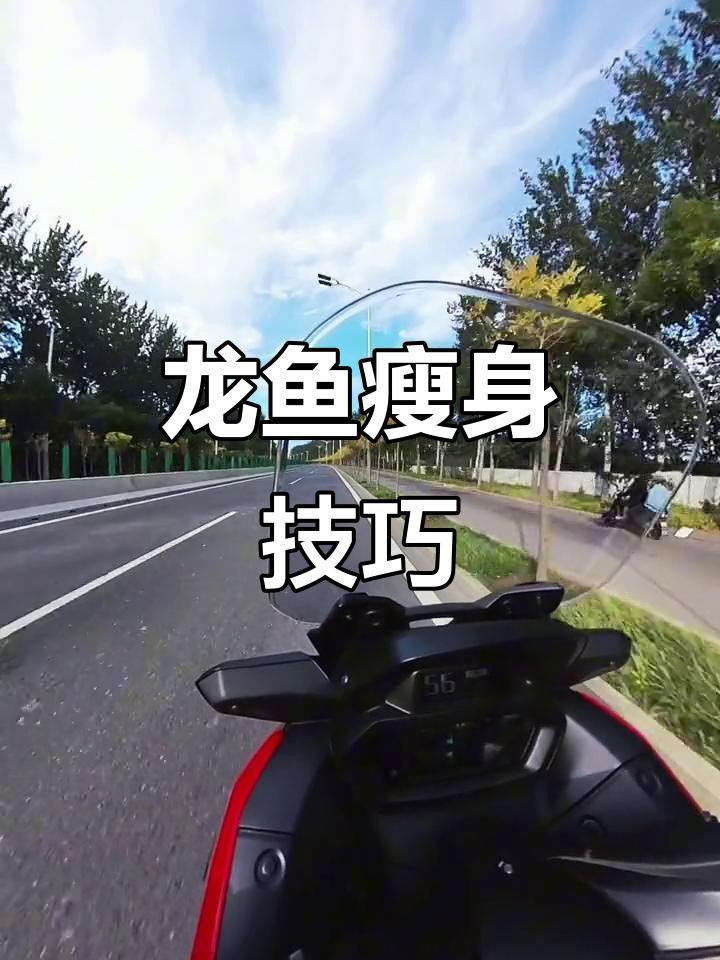 龍魚腹凸不退最佳解決方法