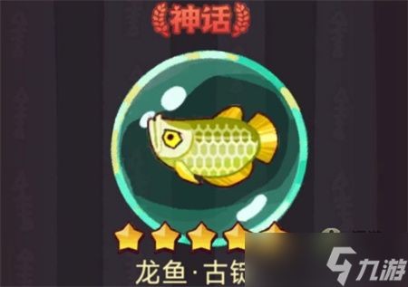 新手如何選龍魚：新手如何挑選龍魚
