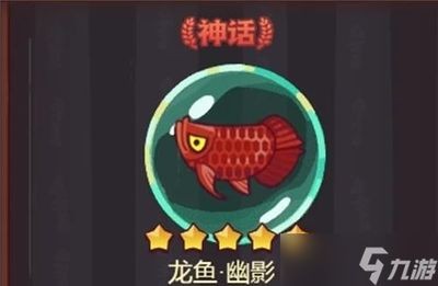 新手如何選龍魚：新手如何挑選龍魚