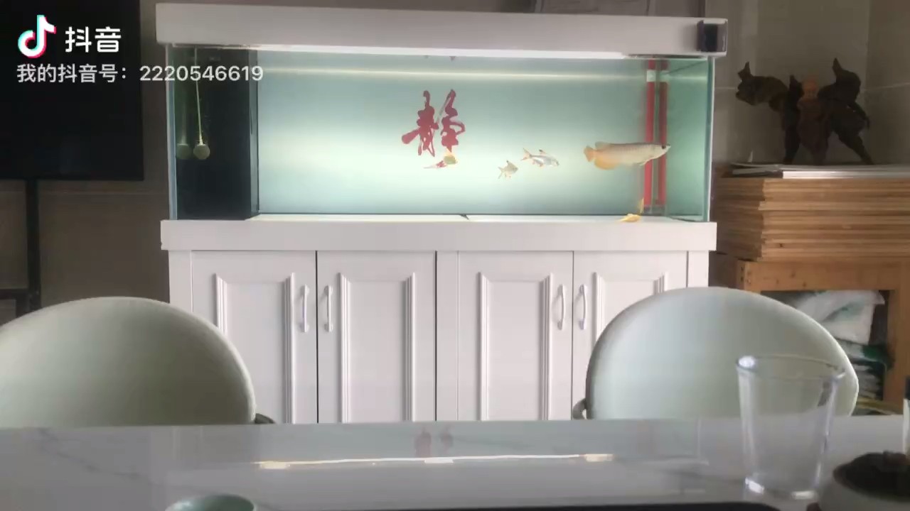 狀態慢慢恢復了，快兩個月了 狀態慢慢恢復了，快兩個月了 龍魚論壇