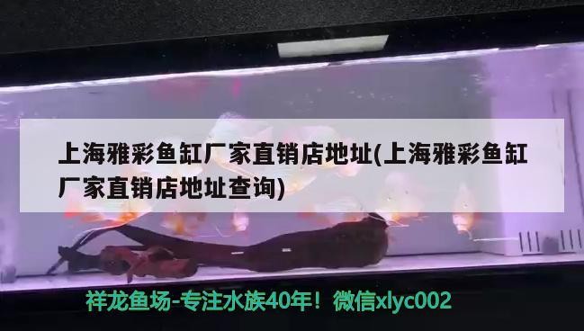 山海關開發區隨易水族濾材器材店