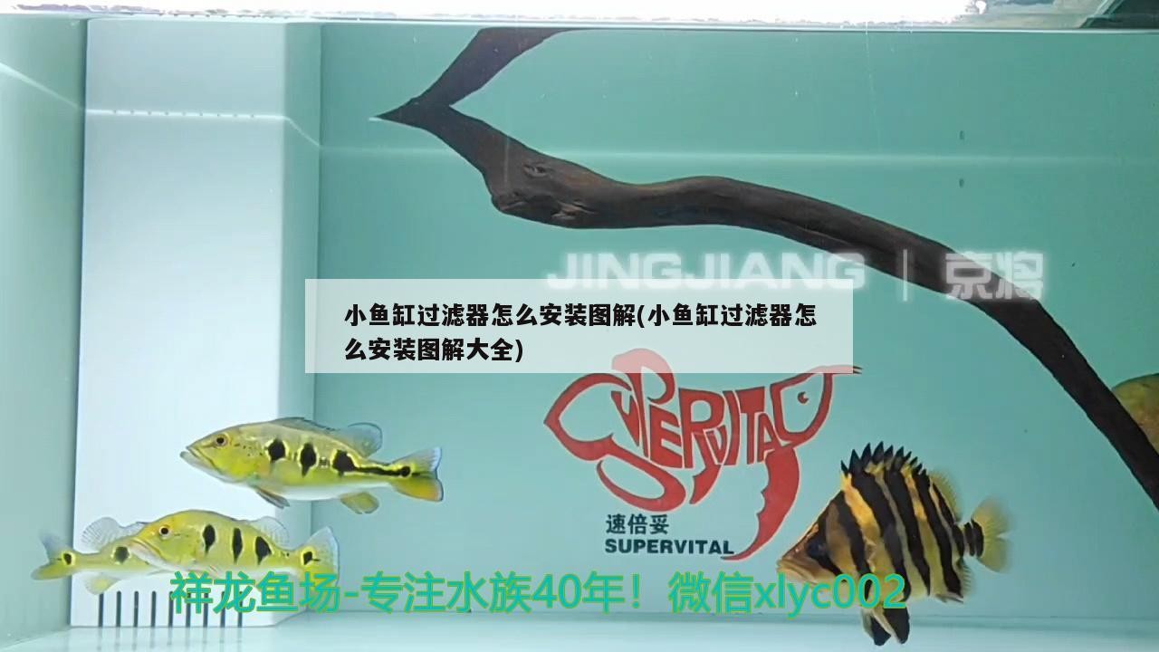 山海關開發區隨易水族濾材器材店