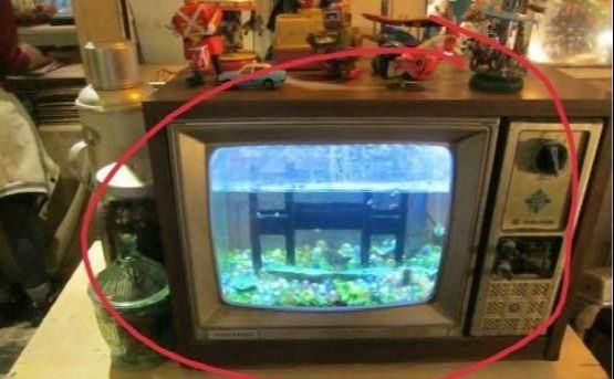 魚缸過濾器的使用：自制魚缸過濾器改裝過程中的過濾器可以為魚缸增添個性化的風格