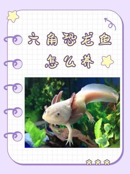 恐龍魚生長(zhǎng)環(huán)境條件圖