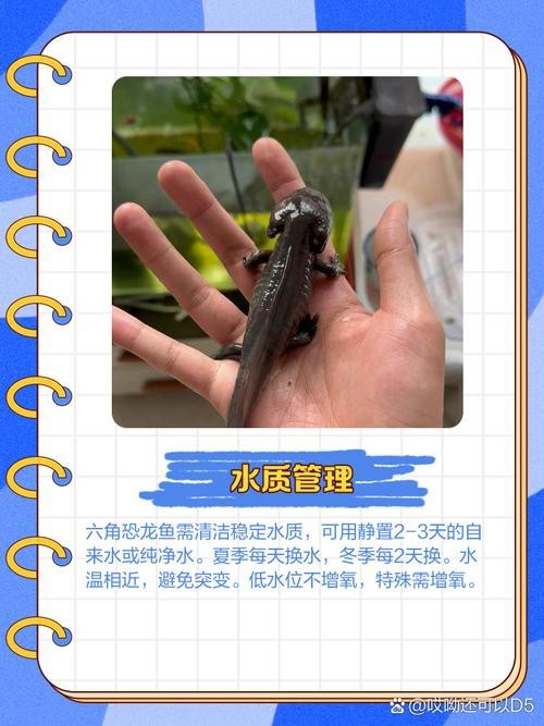 恐龍魚生長(zhǎng)環(huán)境條件圖