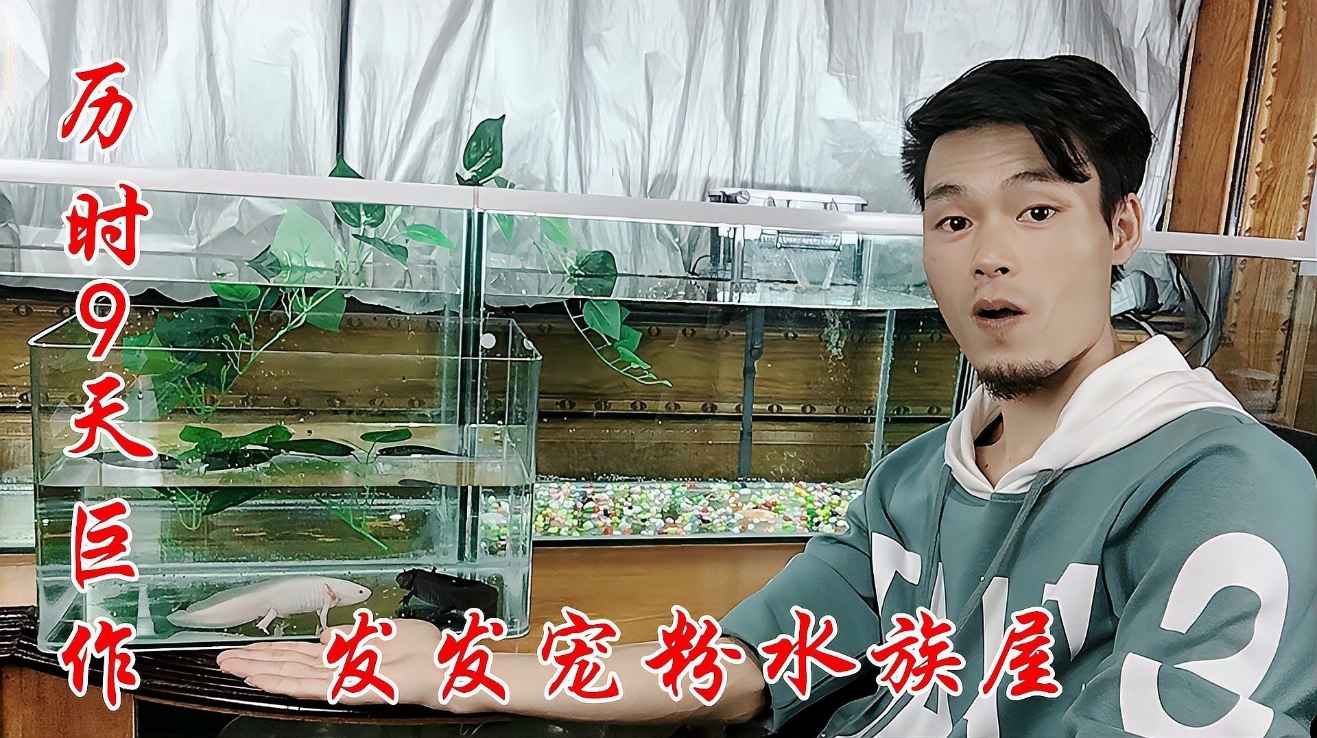 恐龍魚生長(zhǎng)環(huán)境條件圖