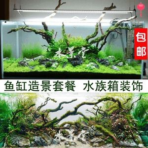 廣東魚缸批發廠家有哪些：廣東魚缸品牌的歷史沿革廣東魚缸品牌的歷史沿革廣東魚缸品牌 廣東魚缸批發廠家有哪些：廣東魚缸品牌的歷史沿革廣東魚缸品牌的歷史沿革廣東魚缸品牌 魚缸百科 第3張