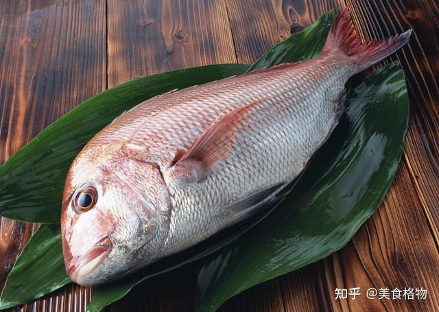 十大最建議買的海魚