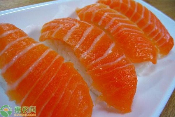 十大最建議買的海魚
