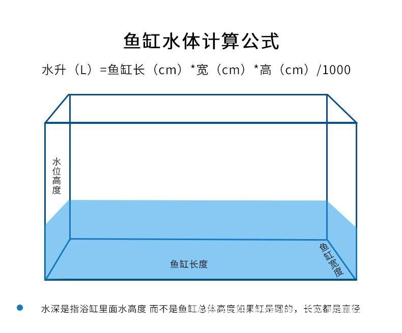 養龍魚需要多高水位