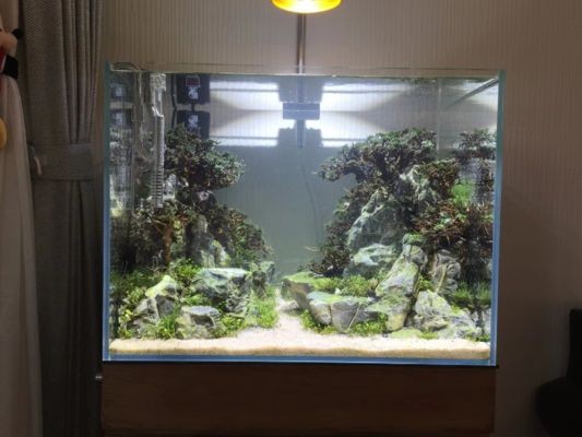 海乾水族魚缸廠家哪家好：海乾水族魚缸廠家 海乾水族魚缸廠家哪家好：海乾水族魚缸廠家 魚缸百科 第1張