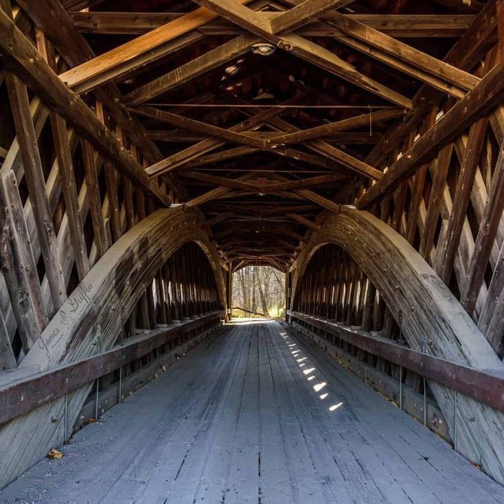 鯽魚為什么叫板鯽 龍魚論壇 第26張 鯽魚為什么叫板鯽 鯽魚為什么叫板鯽 龍魚論壇 第26張