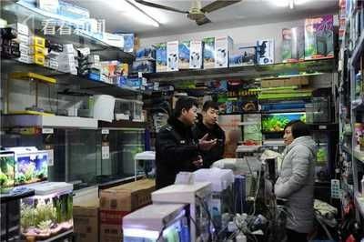 龍魚批發市場進貨渠道在哪里：廣州花地灣和越和花鳥蟲魚市場進貨渠道在哪個位置