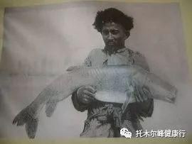 紅老虎魚百度百科