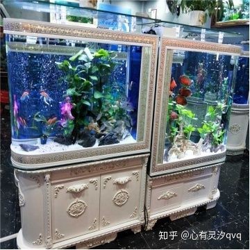 魚缸過濾系統的安裝步驟，魚缸過濾系統的發展歷程：魚缸底濾的基本安裝步驟