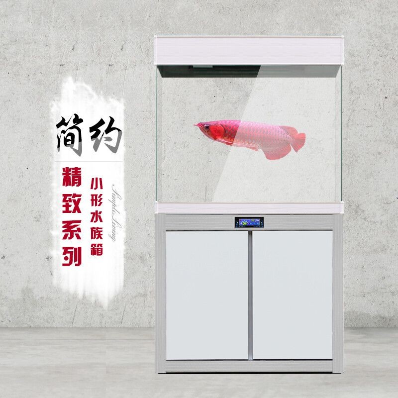 魚缸過濾系統的安裝步驟，魚缸過濾系統的發展歷程：魚缸底濾的基本安裝步驟