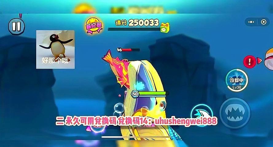 紅龍魚綠皮戰(zhàn)車兌換碼2024最新 紅龍魚綠皮戰(zhàn)車兌換碼2024最新 龍魚論壇 第5張