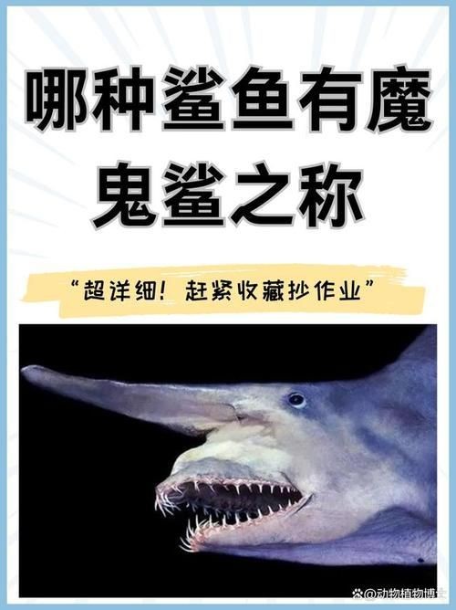 鬼鯊現(xiàn)實(shí)的樣子圖片