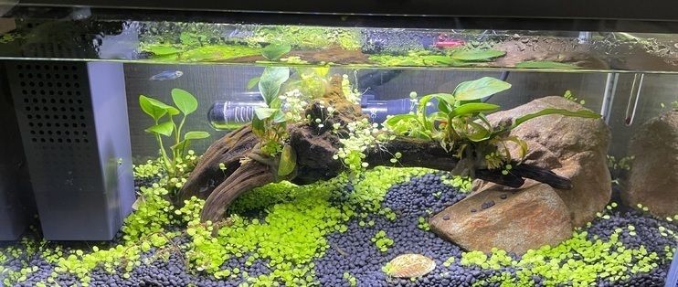 起源紀魚缸官方網站：起源紀智能魚缸app控制功能介紹