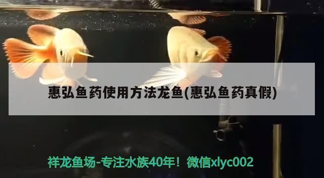 營(yíng)子礦區(qū)汪莊鎮(zhèn)樹(shù)貴觀賞魚(yú)具店