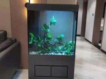 開平市水口鎮(zhèn)魚樂水族館（開平市水口鎮(zhèn)魚樂水族館電話）