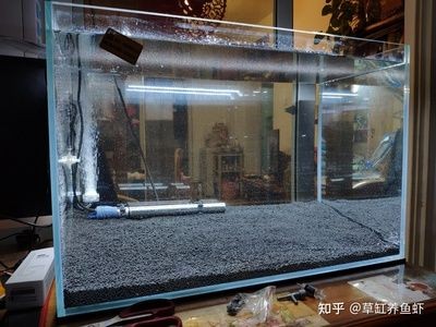 魚缸選購 知乎（亞克力鋼化玻璃魚缸選購知乎魚缸選購知乎魚缸選購知乎）