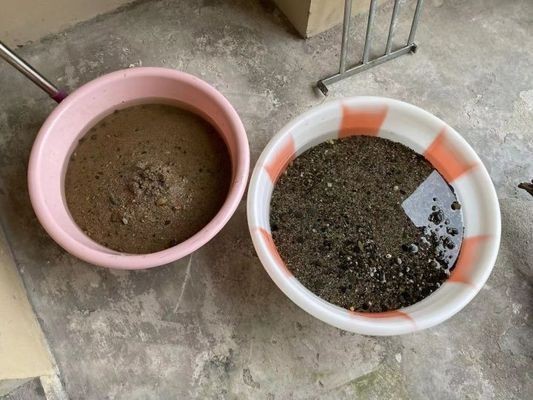 古法養魚缸造景步驟和注意事項：古法養魚與現代養魚技術的區別：古法養魚缸的造景步驟和注意事項 古法養魚缸造景步驟和注意事項：古法養魚與現代養魚技術的區別：古法養魚缸的造景步驟和注意事項 魚缸百科 第4張