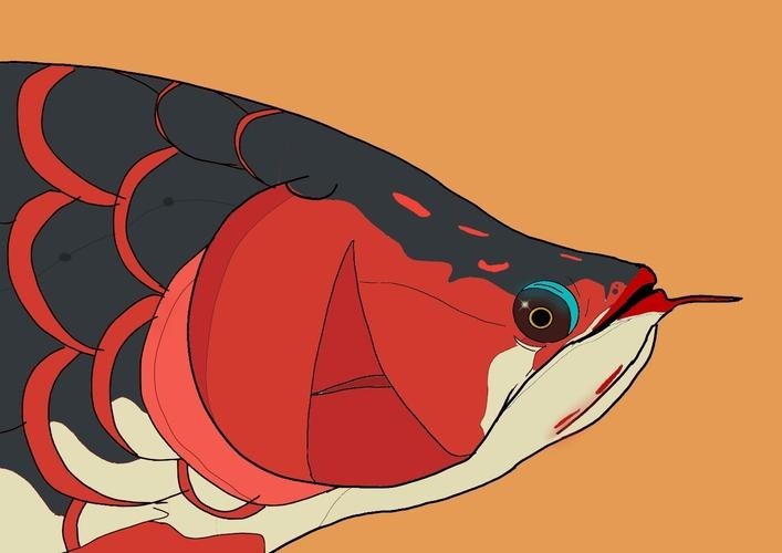 龍魚背景圖片大全可愛